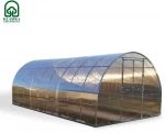Meistro Kodas Šiltnamis Arkinis KLASIKA TUBE 3x10 m (30 m2) 6 mm danga