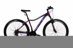 Kalnų dviratis DHS 2922 29", violetinis